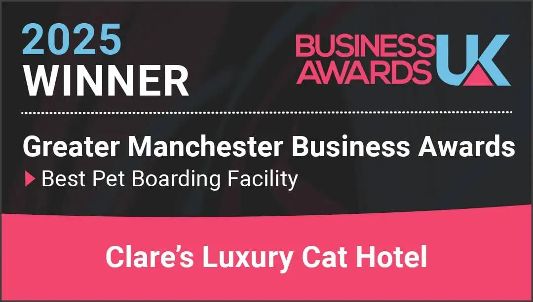 Best pet boarding facility 2025